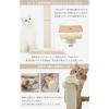 「バリバリつめとぎポール 麻 1個 猫壱 爪とぎ」の商品サムネイル画像8枚目