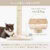 「バリバリつめとぎポール L 麻 1個 猫壱 爪とぎ」の商品サムネイル画像7枚目