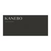 「KANEBO（カネボウ）  スキン ハーモナイザー 180ml」の商品サムネイル画像8枚目