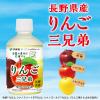 「【ワゴンセール】ニッポンエール 長野県産 りんご三兄弟 280g 1セット（6本）（わけあり品）」の商品サムネイル画像3枚目