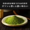 「【ワゴンセール】【機能性表示食品】伊藤園 おーいお茶 MATCHA SHOT 265ml ボトル缶 1セット（6缶）（わけあり品）」の商品サムネイル画像6枚目