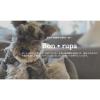 「【ワゴンセール】犬用 おやつ Bon・rupa 京 ぷちキューブ 山羊みるく 国産 40g 1袋（わけあり品）」の商品サムネイル画像5枚目
