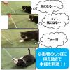 「ねこモテ しっぽぷるんじゃらし 黄 1本 アース・ペット 猫用 おもちゃ」の商品サムネイル画像6枚目