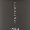 「【LAKOLE/ラコレ】 STATELYディフューザー CANADIAN CEDAR」の商品サムネイル画像3枚目