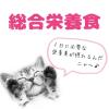 「ミャウミャウ ジューシー 成猫用 あじわいまぐろ ゼリータイプ 60g 1セット（1袋×24）アイシア キャットフード」の商品サムネイル画像5枚目