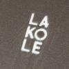 「【LAKOLE/ラコレ】 HAKKAKUボウル（M） グレー」の商品サムネイル画像2枚目