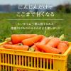 「カゴメ にんじんジュース プレミアム 720ml 1箱（15本入）【野菜ジュース】」の商品サムネイル画像6枚目