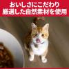 「キャットフード サイエンスダイエット 猫 室内猫の毛玉・体重ケア シニア 7歳以上 チキン 1.25kg 3袋 ヒルズ」の商品サムネイル画像5枚目