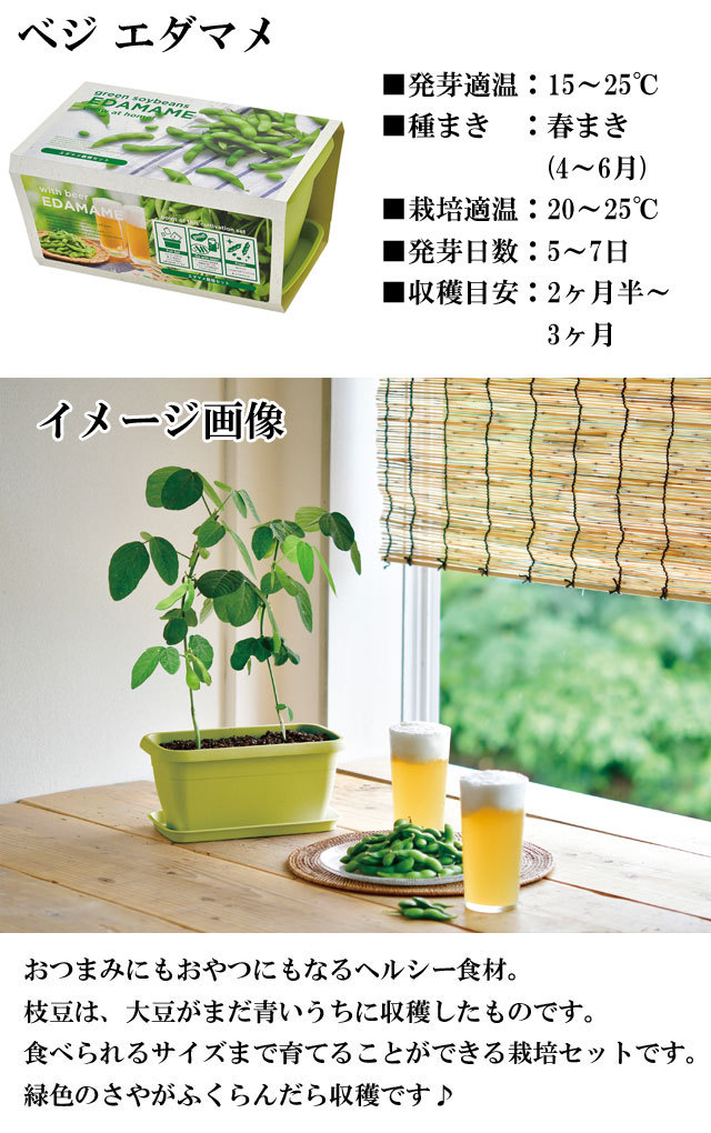 栽培キット エンジョイプランター ベジ フラワー エダマメ ミニトマト ミニヒマワリ 栽培セット 種 野菜 かわいい おしゃれ ギフト インテリア Sst212 癒しグッズ専門店 なごみ 通販 Yahoo ショッピング 일본구매대행 직구 위시박스