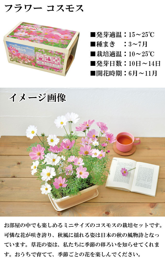 100円クーポン発行中 栽培キット エンジョイプランター 花 聖新陶芸 ベジ フラワー 野菜