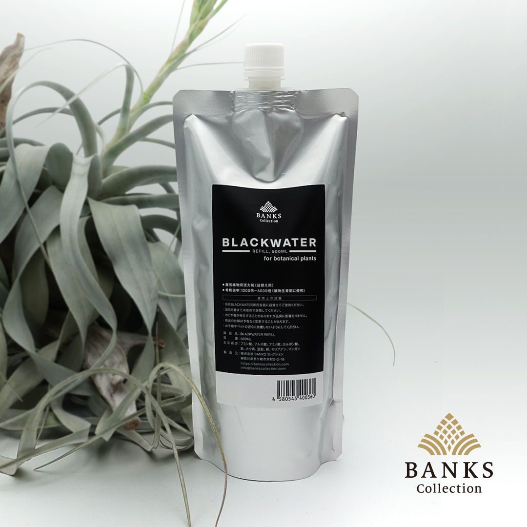 植物 活力剤 Blackwater ブラックウォーター 500ml リフィル バンクスコレクション 036 Banksコレクション Yahoo 店 通販 Yahoo ショッピング 일본 미국구매대행 직구 4do