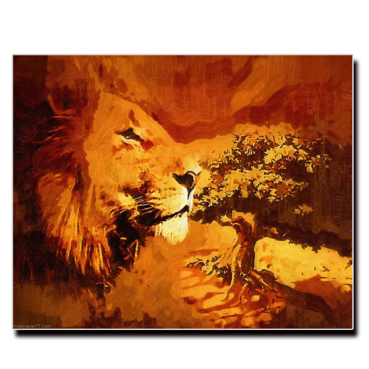 444円 完成品 アート キャンバス パネル ファブリック ウォールアート ライオン 動物 かっこいい バンクシー モダン 雑貨