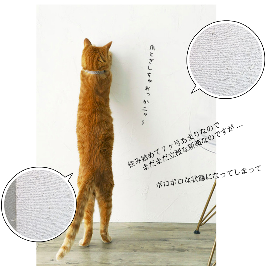 市場 壁汚れ キズ 壁紙 シート 防止シート ペットグッズ 汚れ防止 1枚入 厚み1mm 壁面 25x30cm 吸着シート