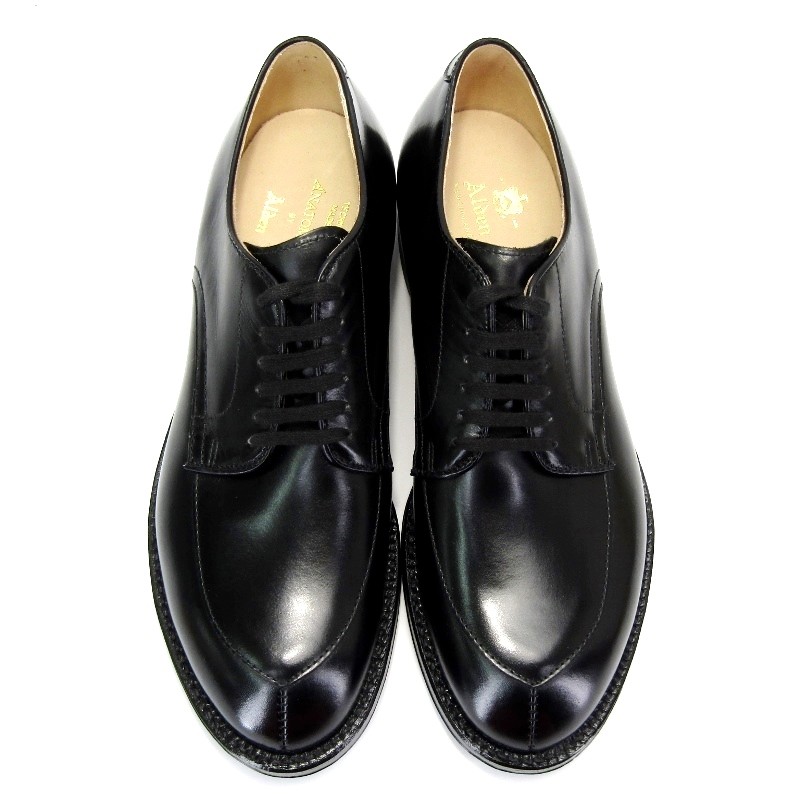 ALDEN 未使用 ANATOMICA × オールデン Vチップ 54411 ALGONQUIN ALDEN 未使用 ANATOMICA × オールデン Vチップ 54411 ALGONQUIN