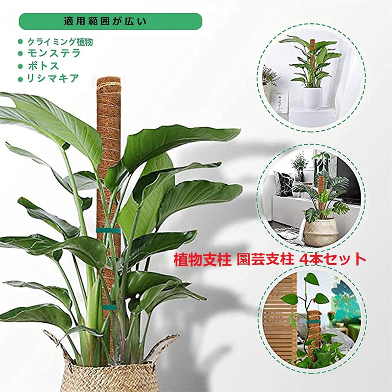 18 Off 即納 植物支柱 園芸支柱 4本セット園芸支柱パーツ 観葉支柱 ココナッツ支柱 ガーデニング用支柱 植物サポート フラワースタンド 延長可能 水分 養分維持