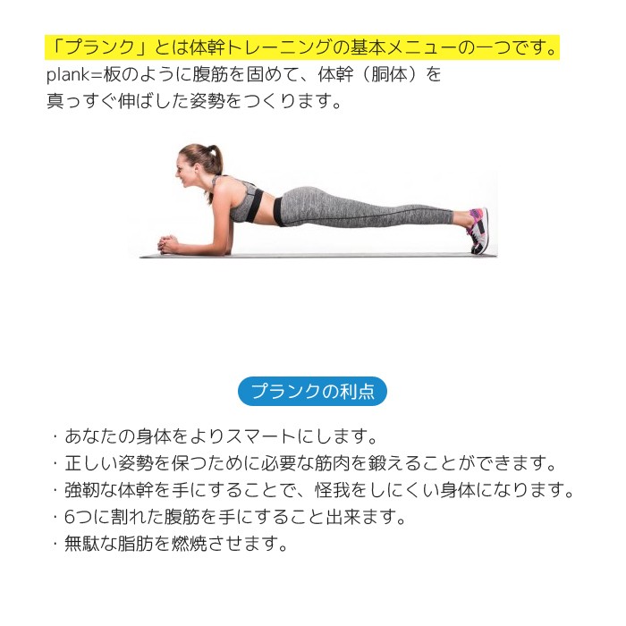 プランクパッド プロ Plankpad Pro 体幹 トレーニング バランスボード スマホ ゲーム フィットネス 室内 筋トレ テレビ 人気 話題 家トレ おはよう朝日です Plankpad Pro ダンス用品専門店 ダンスドール 通販 Yahoo ショッピング 일본구매대행 직구 미스터스토어