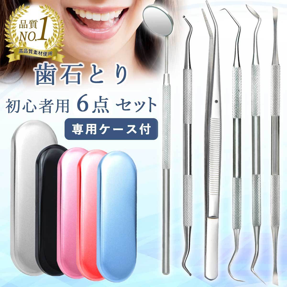 歯石取り 器具 歯医者 除去 自分で 犬 大幅値下げランキング