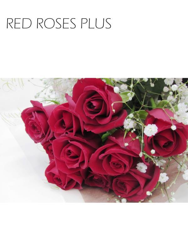 1521円 輸入 赤薔薇とかすみ草の花束 誕生日 プレゼント 記念日 彼女