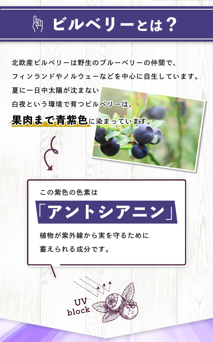 743円 格安店 サプリ サプリメント フィンランドを中心とした北欧産100%ビルベリー使用 約3ヵ月分ブルーベリー よりアントシアニンが 豊富なビルベリー使用 743円 格安店 サプリ サプリメント フィンランドを中心とした北欧産100%ビルベリー使用 約3ヵ月分ブルーベリー よりアントシアニンが 豊富なビルベリー使用