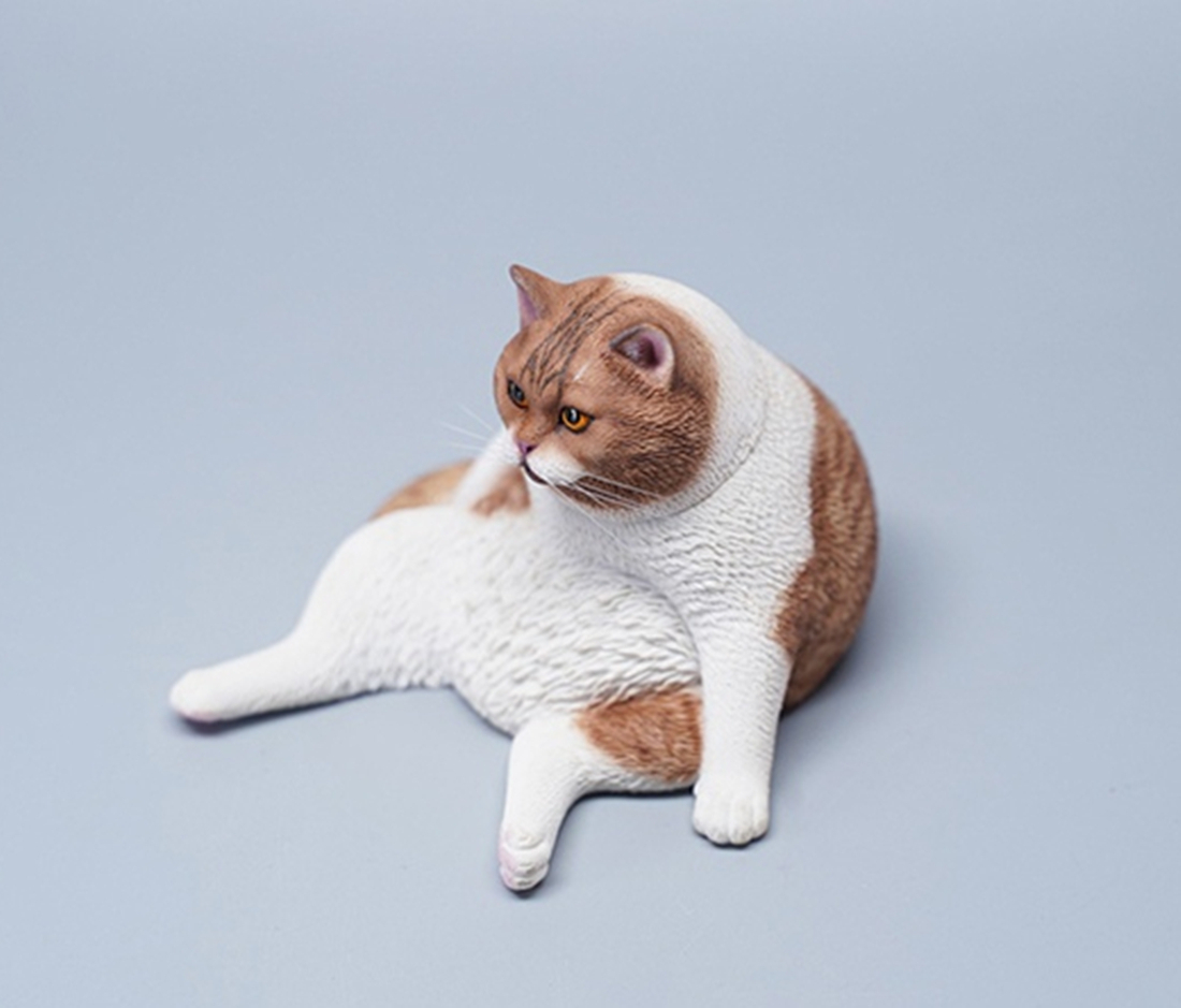 1 6 フィギュア 動物モデル ネコ 怠け者 座る猫 太い 萌え かわいい 併用推奨 コレクション 置物 Jxk Jxk086a Osd Jxk Jxk086 Osd 通販 Yahoo ショッピング 일본구매대행 직구 미스터스토어
