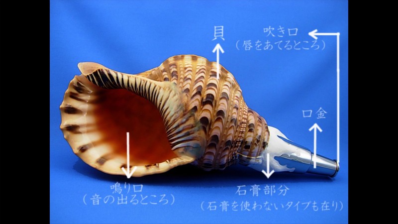 初心者のための法螺貝の吹き方入門 Dvd テキスト セット ほら貝 ホラ貝 ほらがい ホラガイ シェル トランペット 戦国 山伏 修験 グッズ 甲冑 兜 Ks 1 ほら貝 穂の国 通販 Yahoo ショッピング 일본구매대행 직구 온재팬