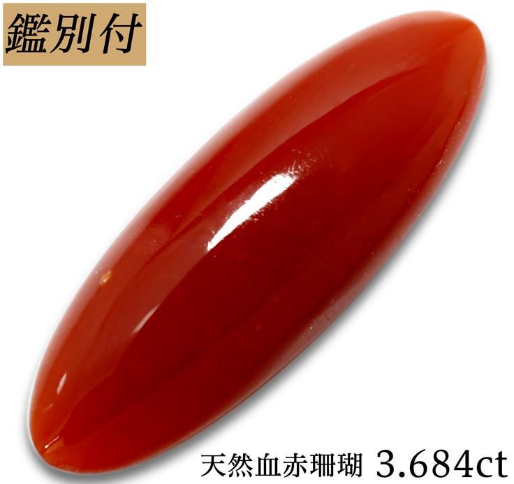 天然 血赤珊瑚 3.684ct 日本産 珊瑚 サンゴ 本珊瑚 ルース 原石 宝石 