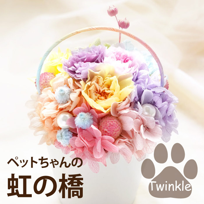 人気特価激安 お盆 お供え 花 ペット 虹の橋 トゥインクル プリザーブド フラワー お悔やみ お花 ギフト カード 贈り物 犬 猫 命日 供花 仏花 枕花 宅配 配達 Shipsctc Org