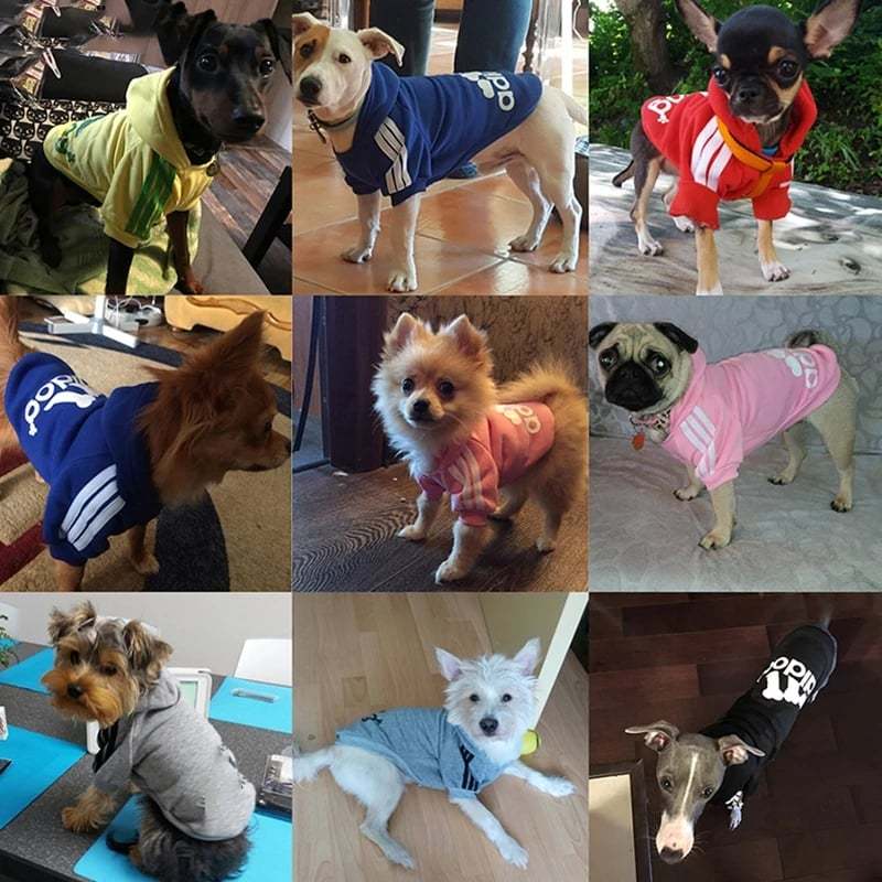 超特価】 冬応援割引 犬 猫 服 ウェア ペット服 ADIDOG ドッグウェア キャットウェア ジュポン付き 犬服 可愛い お出掛け お散歩 冬服し discoversvg.com 超特価】 冬応援割引 犬 猫 服 ウェア ペット服 ADIDOG ドッグウェア キャットウェア ジュポン付き 犬服 可愛い お出掛け お散歩 冬服し discoversvg.com