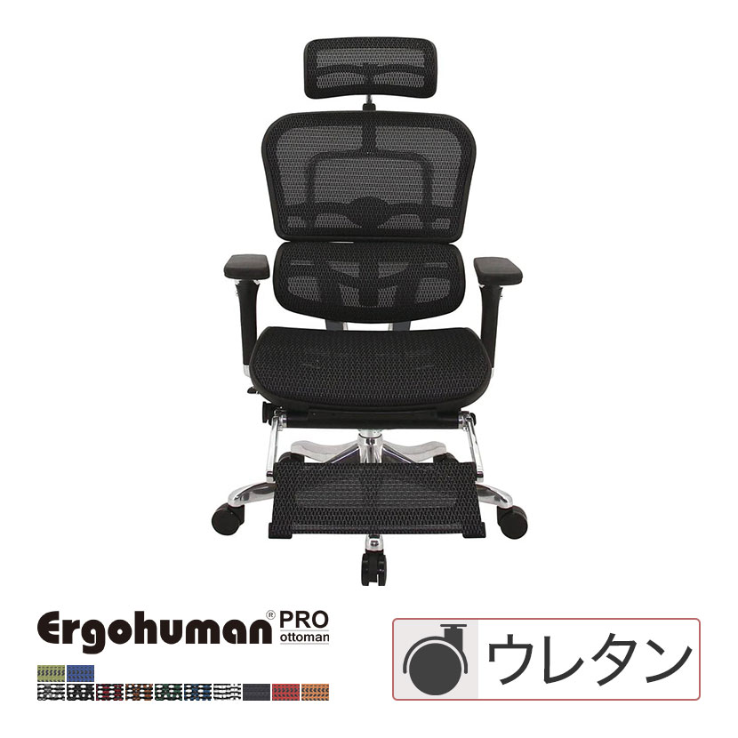 当店の記念日 エルゴヒューマンプロ オットマン内蔵 ラチェット式／EHP