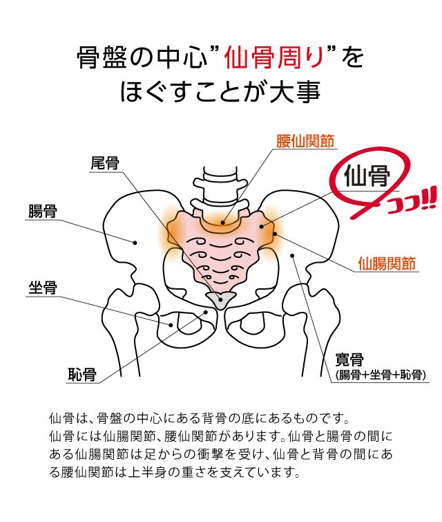 ドリーム コシレッチ 仙骨ほぐし グラスゴー