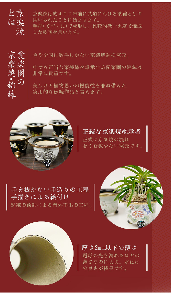 京楽焼窯元 愛楽園 直送 万年青鉢 おもと鉢 黒唐草 3 0号 3 3号 3 5号 錦鉢 G Airaku M02 Hachi0010 胡蝶蘭専門農園 Iファーマーらんぼ 通販 Yahoo ショッピング 일본 미국구매대행 직구 4do