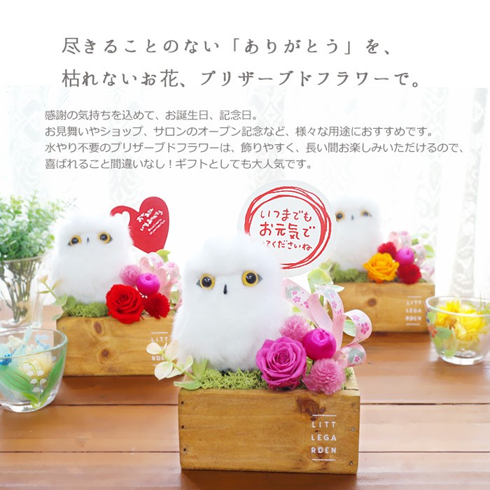 母の日 21 花 プレゼント 母の日ギフト プリザーブドフラワー ギフト ブリザード 退職祝い 送別 和風 フクロウ ふくろう 誕生日 還暦祝い 福来郎 Fukurou プリザフラワーのサウンドアレンジ 通販 Yahoo ショッピング 일본 미국구매대행 직구 4do