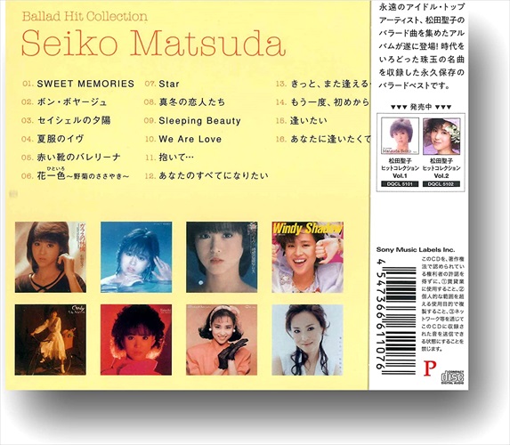 ハイクオリティモデル - NIZOO RIYO うちわケース NiziUリオ - 販促