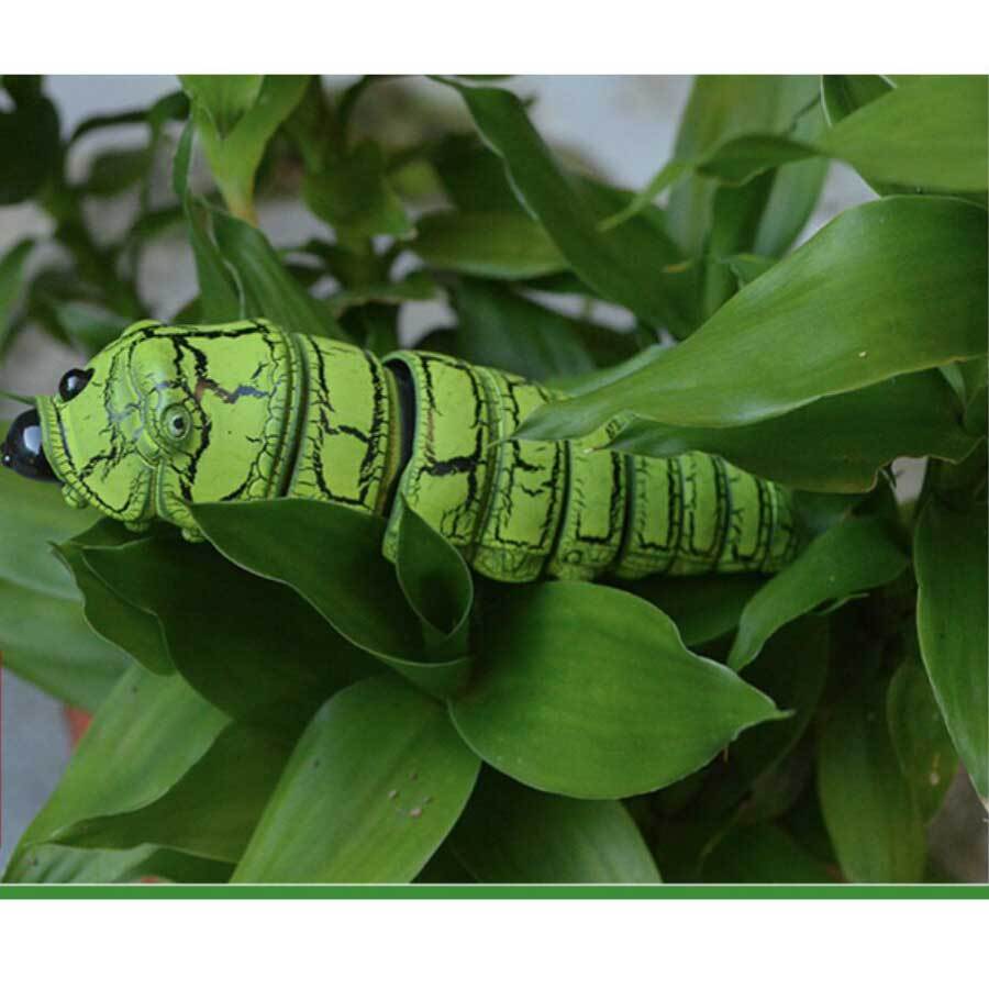 昆虫 イモ虫 ゴキブリ サソリ ムカデ カマキリ ラジコン おもちゃ 誕生日プレゼント 男の子 ハロウィン ドッキリ いたずら サプライズ リアル 虫 Sale 61 Off