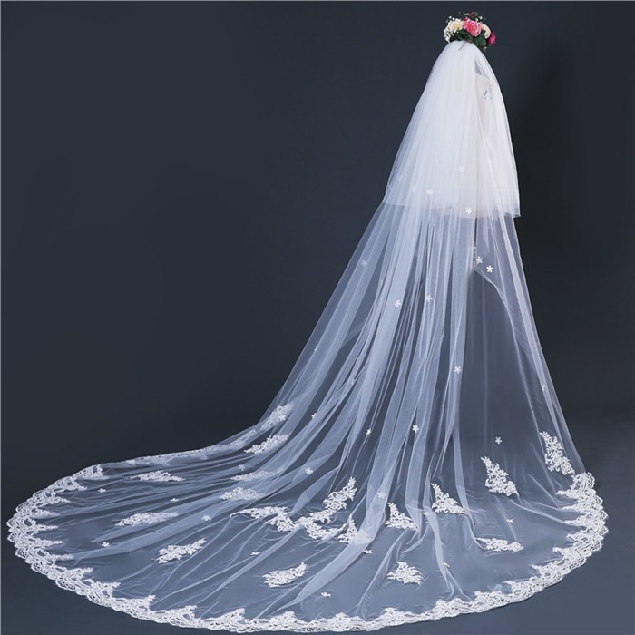 訳あり ベールダウン 前撮り レース コーム付き ウェディング小物 二次会 結婚式 ウェディング ベール 手作り ロングベール ウェディングベール 安い 豪華 3m ウエディングベール Www Makehomeeasier Pl